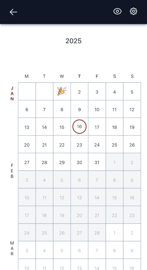 Screenshot of mini calendar app depicting the first two months of 2025.